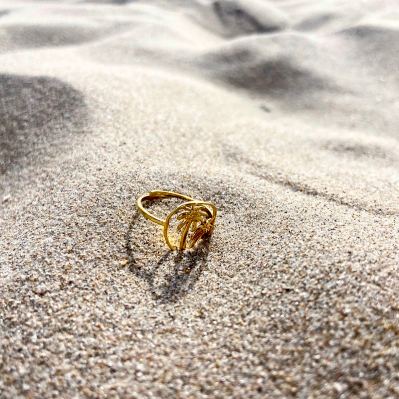 ''Palm'' Ring